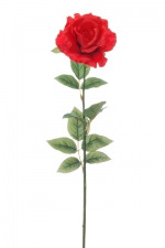Roos met blad rood 70cm